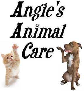 Angie’s Animal Care