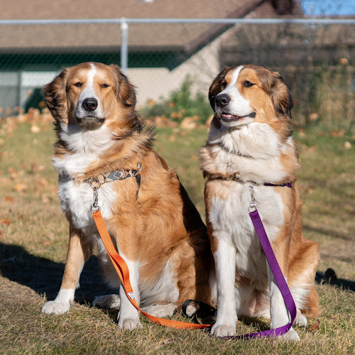 K9 Kwik Release