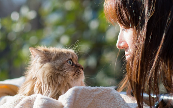 Flying Duchess Pet Sitters