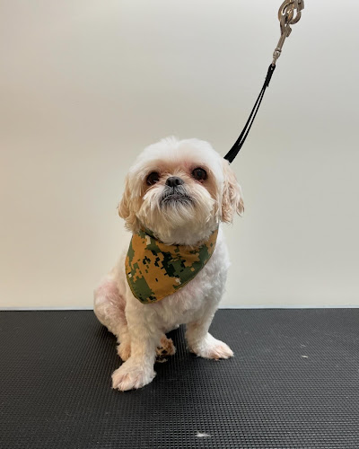 Tidy Tails Pet Grooming