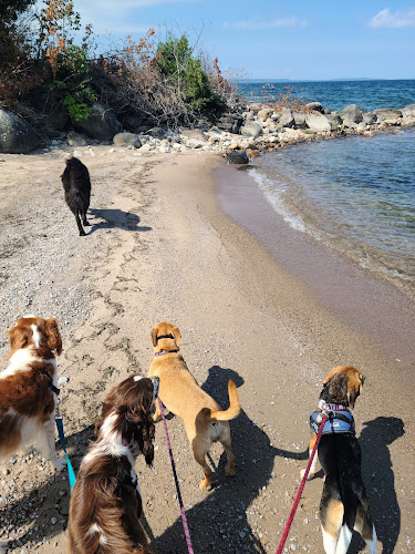 Great North Doggie Daycare & Boarding