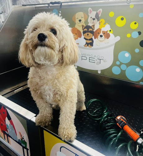 Mercado Pet