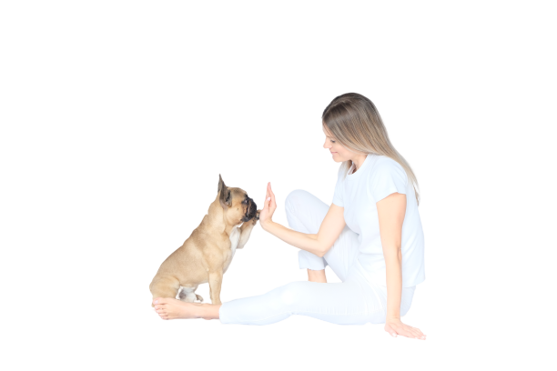 APPAWREL™
