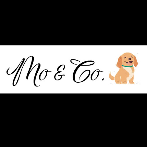 Mo & Co.