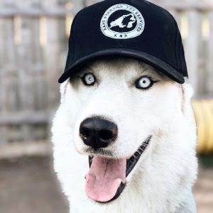 Kane & Serena PetServices