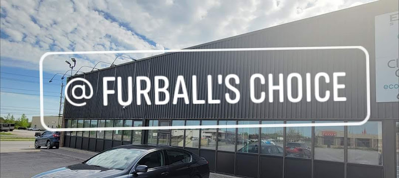 Furball’s Choice