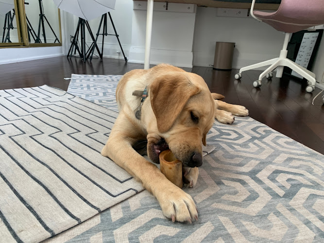 The Tail Wag Hotel
