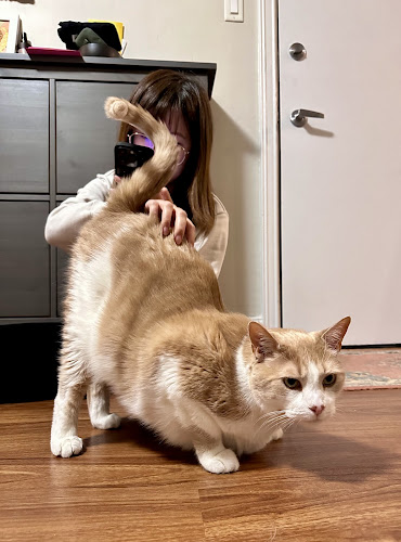 C & R Pet Sitters