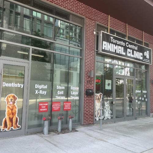 Toronto Central Animal Clinic