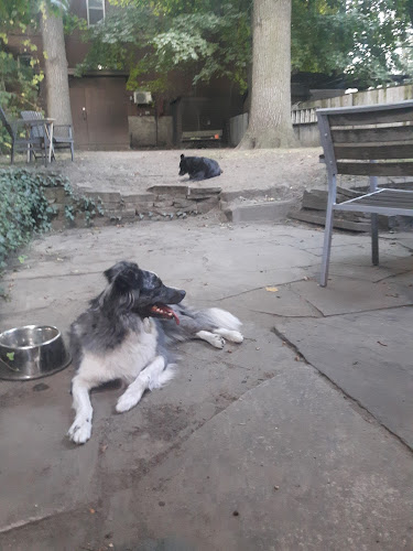 Parkside Pets Toronto