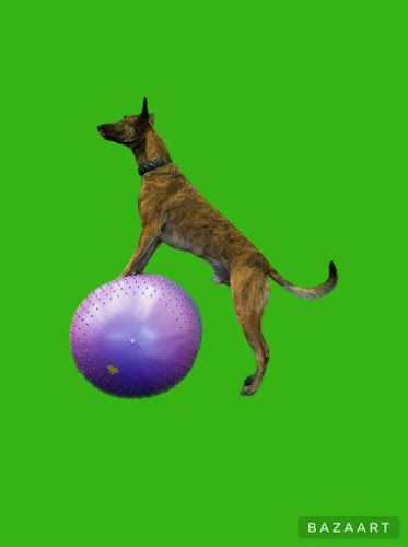 K9 PE