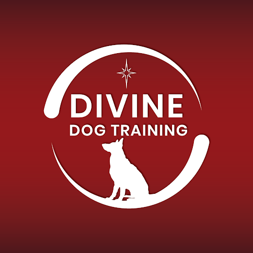 Divine Dog Training