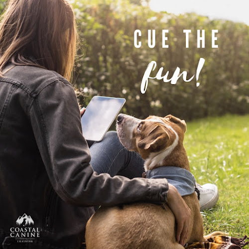 Coastal Canine Training Services