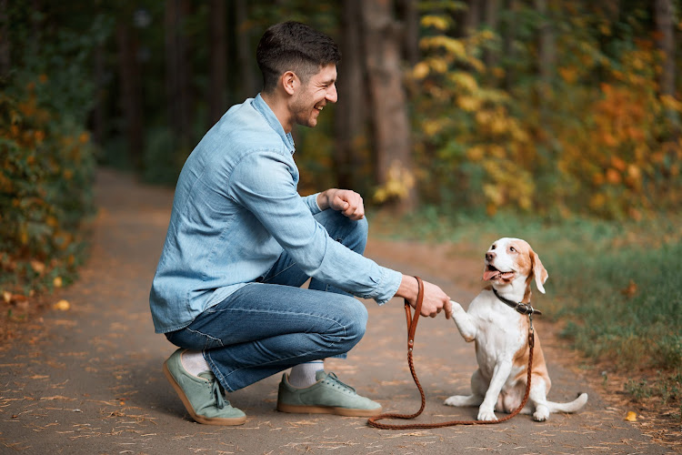 MYE PET STAY INC.
