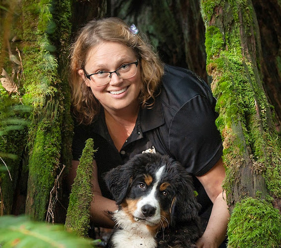 Wag The Dog (Lower Mainland)