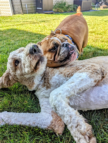 Pawsitive Pet Care & Apawthecary
