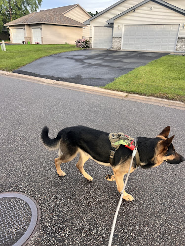 Perlys Pet Service