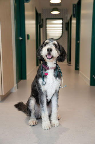 Juno Veterinary Leaside