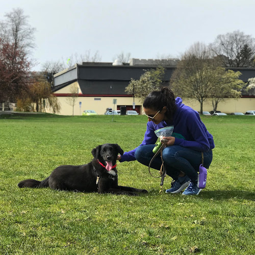 Vancouver Pet Care | Dog Walking & Cat Sitting