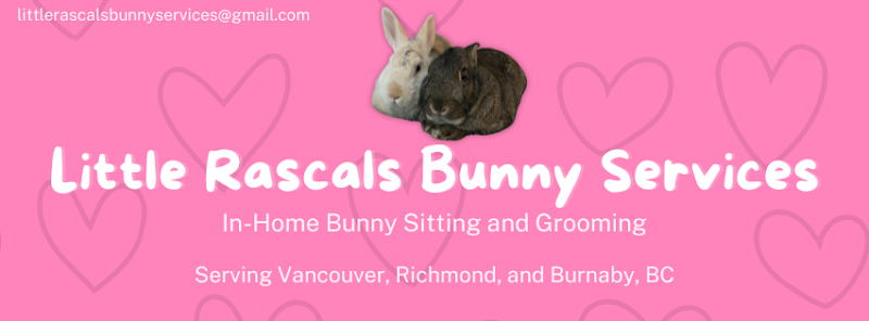 Little Rascals Bunny Services