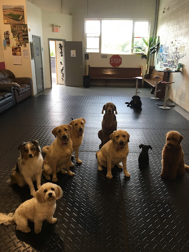Barks n’ Rec