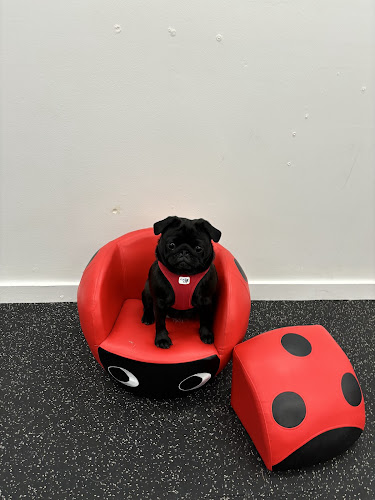The Pup Spot