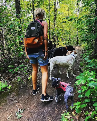 Unleashed Dog Training
