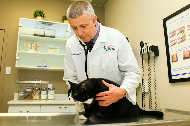 Veterinary Hospital Mercier inc.