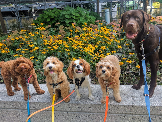 Gussy and Company