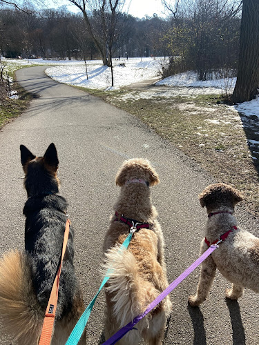 Walk Time – Toronto Dog Walking and Pet Sitting Company