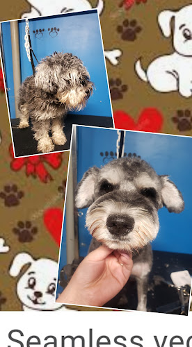 Ashleys grooming