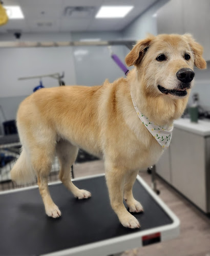 Jay’s Dog Grooming