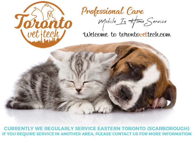 Toronto Vet Tech
