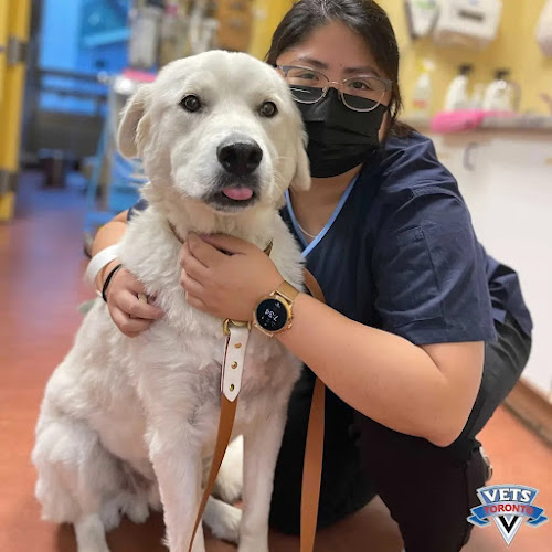 Kingston Road Animal Hospital