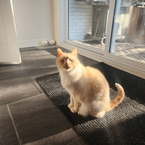 Priority Pet Boarding Service.Inc