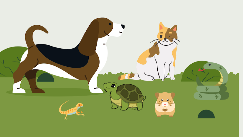 613 Pet Sitting