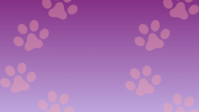 Pawtty Cats