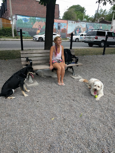 Your Dogsitters
