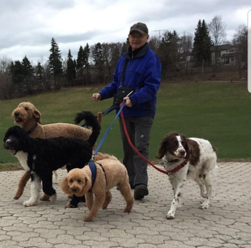 Citizen Canine