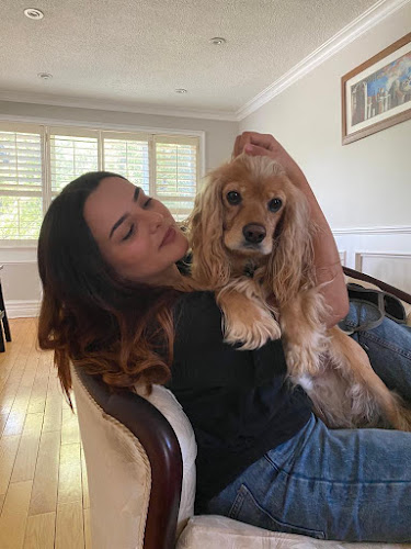 Pet Sitter