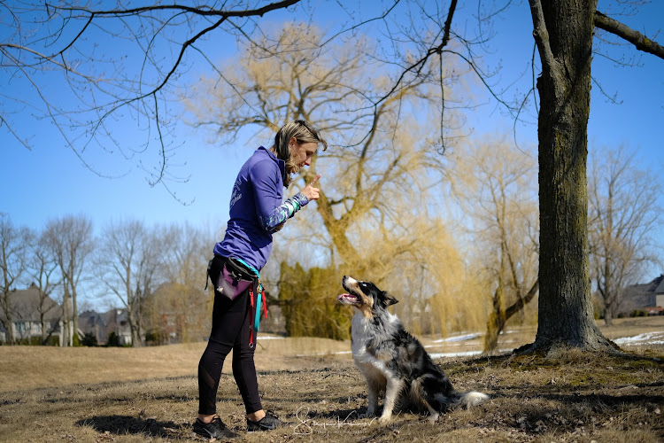 Énergie Canine Estrie