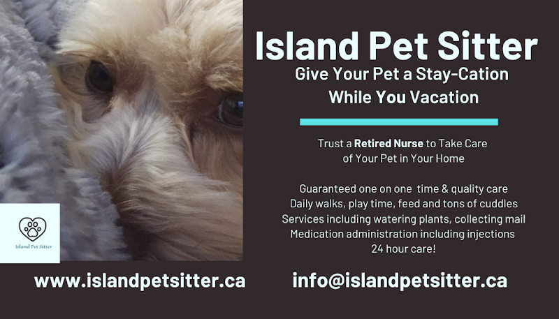 Island Pet Sitter