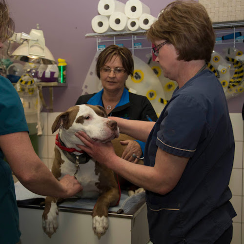 Parkland Veterinary Clinic