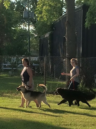 Sport Dog Training Center