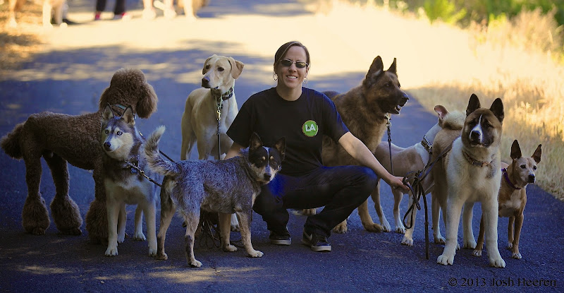 The Pack Way – Dog Training Guelph, Ontario