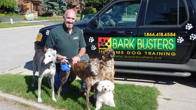 Bark Busters