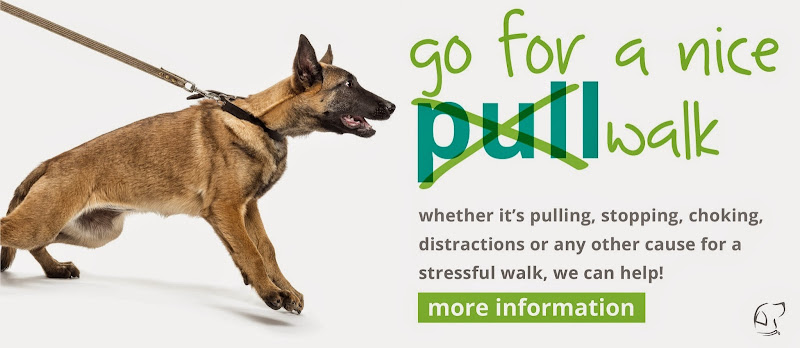 Pawsitive Ways Dog Training