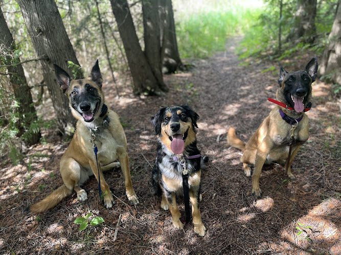 Operant K9 Training Inc.