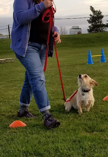 Sit Happens Dog Training
