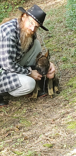 Do It Yourself Dog Training